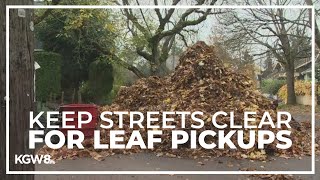 Portlanders warned not to park in streets during leaf pickups [upl. by Plank]