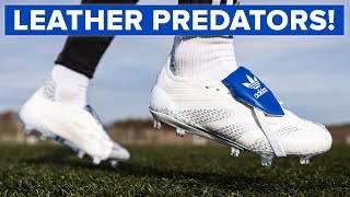 These LEATHER Predators are glorious  BUT should you buy them [upl. by Aral]