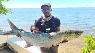 Epic Day Trolling  Big Tarpon [upl. by Esther]