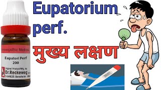 Eupatorium perfoliatum 30 ch 200ch uses in hindi Homeopathic master [upl. by Onstad]