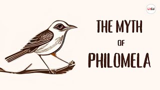 The Myth of Philomela  Ovids Metamorphoses [upl. by Nixie]