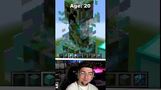 Pixel Art Minecraft à Différents Âges 😲 [upl. by Neurath]