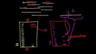 Modification interference assays [upl. by Nyladnarb]