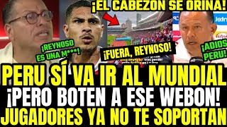 REYNOSO RENUNCIA PHILLIP EXPLOTA Y MANDA A LA MRD4 A CABEZ0N EN VIVO Y LO PTEA X DERROTA DE PERÚ [upl. by Melisse]