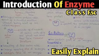 Introduction To Enzyme in biochemistry  Cofactor  Class 11 Biology [upl. by Leigh334]