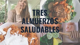 3 Ideas de Almuerzos ricos fáciles y SALUDABLES  Rafaela Figari [upl. by Johnstone]