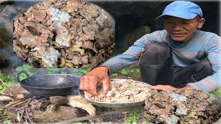 Hunting Aringal Wasp Nest Eastern Nepal Village area How to cooking eating wasp Nest Hunters [upl. by Winchester]