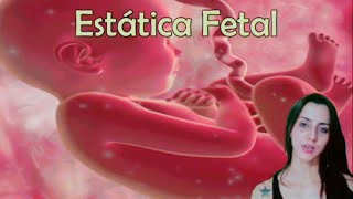 Estática Fetal Mecanismos do Parto e Discinesias [upl. by Chavey]