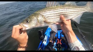 Kayak Fishing for Striper in Narragansett Bay [upl. by Anirak]