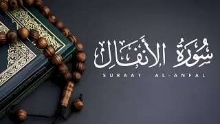 وَمَا عَلِمتُ نَفسا مُرهَقَة الَّا واستَراحَت بِالقُرآن 😌 سورة الانفال كاملة  Full Surat AlAnfal [upl. by Haines510]