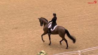 Dorothee Schneider  Sammy Davis Jr  Grand Prix  Herning Horse Show 2017 [upl. by Noiramed676]