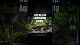 Step by step aquascaping [upl. by Ylurt21]