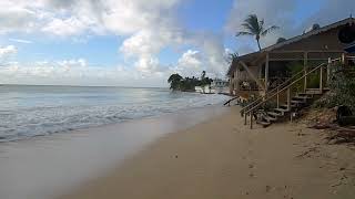 Mullins Beach Barbados [upl. by Lalaj187]