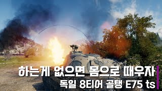 은신한 놈들 잡으러 가야지 E75 ts worldoftanks 월드오브탱크 [upl. by Eislrahc390]