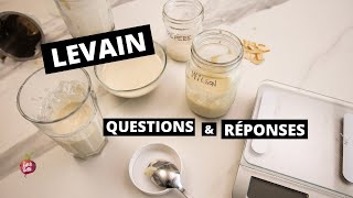 LEVAIN  QUESTIONS amp RÉPONSES 🥖 Levain  Pain Quoi Comment Recettes Tuto La petite bette [upl. by Eeb]