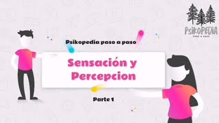 🧠 Qué es la sensación  Psicología General La Sensación y la percepción Parte 1 [upl. by Hagi]