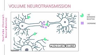 NEUROSCIENCE  WHAT IS VOLUME NEUROTRANSMISSION [upl. by Christiane97]