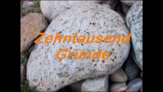 Zehntausend Gründe Lied [upl. by Drofhsa981]