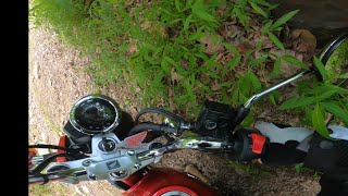 2021 Honda Monkey Off Road Climbing [upl. by Vedi]