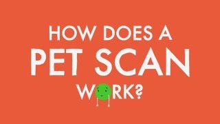 How does a PET scan work [upl. by Acinok]