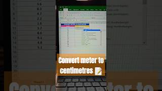 CONVERT METER TO CENTIMETERS 🔥🔢 tricks exceltips excel [upl. by Aicyla]