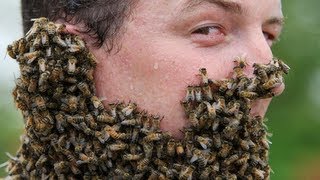 20 People Covered in Bees [upl. by Pellet495]