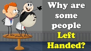 Why are some people Left Handed  more videos  aumsum kids science education children [upl. by Rehsa]