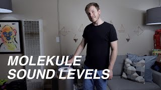 Molekule Air Purifier Noise Level 10 Month Review  How loud is it [upl. by Urbas837]