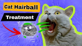 How to Treat Cat Hairballs  Cat Pukes Hairball  Symptoms and Treatment [upl. by Anemolihp]