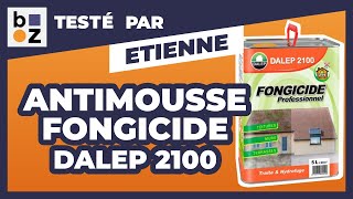 Antimousse fongicide professionnel Dalep 2100  Test et Avis [upl. by Guglielmo]