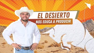 El desierto nos educa a producir [upl. by Dalpe]