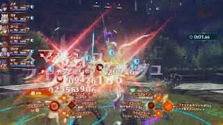 Xenoblade 3：神剣と英傑  The Two Saviors Easy 166 sec [upl. by Einhoj]