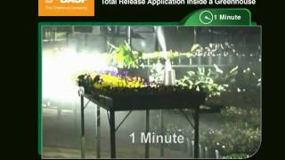 BASF Total Release Fungicide or Insecticide Timelapse in Greenhouse [upl. by Ttezzil]