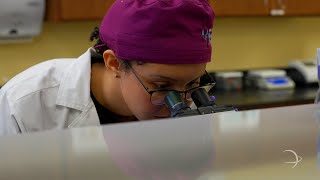 STISD  Career amp Technical Education Biomedical Science Program at Medical Professions [upl. by Vastha]