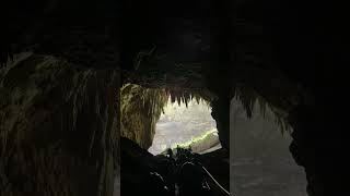 Exploring the Camuy caverns cavernas camuy caverns puertorico [upl. by Ttehr303]