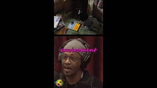 Joe Rogan amp Dan Soder react to Katt Williams being real life Maltilda 🤣 😂 shorts [upl. by Enivid359]