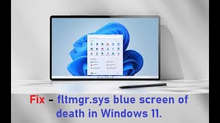 Fix  fltmgrsys blue screen of death in Windows 11 [upl. by Leinnad]