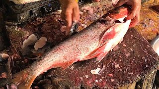 Giants Red Clour Bighead Carp Fish Cutting  Fish Cutting Skills  Fish Cutting Expert in Fish Shop [upl. by Adok]