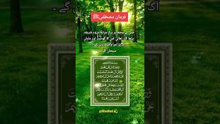 Darood e ibrahimi daroodsharifkawazifa islamicvideo youtubeshorts foryou [upl. by Aicillyhp128]