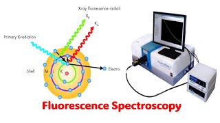 Fluorescence Spectroscopy l Explained with Animation [upl. by Ydnys127]