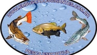 EM BUSCA DOS GIGANTES  PESCARIA ARUJÁ GRANDES PEIXES [upl. by Ranit975]