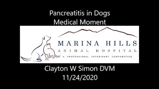 Pancreatitis in Dogs [upl. by Herbst]