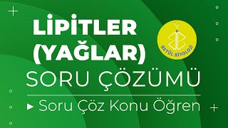 Lipitler Yağlar Soru Çözümü  Soru Çöz Konu Öğren  TYT Biyoloji [upl. by Yawnoc]