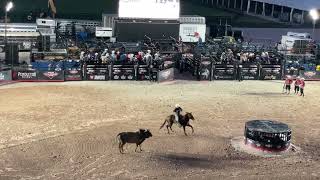 Professional Bull Riding  Tryon NC [upl. by Leamsi26]