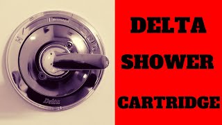 How To Replace A Delta Shower Cartridge  Do It Yourself [upl. by Nyasuh]