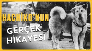 10 YIL BOYUNCA SAHİBİNİ BEKLEDİ  Dünyanın En Sadık Köpeği [upl. by Alanson]