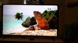 Haier 4K 55E5500U 55quot LED TV Review [upl. by Secor820]