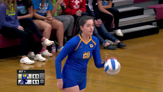 Wayzata vs Champlin Park Section 5AAA Girls High School Volleyball [upl. by Saul]