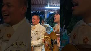 Mariachi Real Tamazula sufriendo a solas [upl. by Castra]