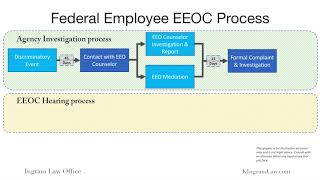 Federal Employee EEO Process From Informal Complaint to Federal Court [upl. by Candis]